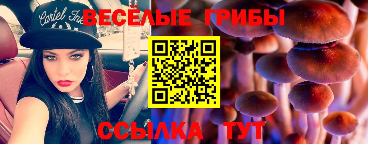 хочу наркоту  Галлюциногенные грибы MAGIC MUSHROOMS  Вход с VPN  Вичуга  Псилоцибиновые грибы Cubensis 